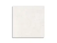 vloertegel Pamesa Core Mix White 60 x 60 | 817-459 | Jan Groen Tegels