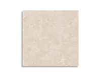 vloertegel Love Elan Blanc Ret 60 x 60 | 674-465 | Jan Groen Tegels