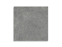 vloertegel Grijs 40 x 40 | 613-303 | Jan Groen Tegels