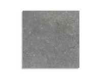 vloertegel Grijs 60 x 60 | 369-043 | Jan Groen Tegels