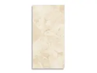 vloertegel Sintesi Lythos Aurea Beige 60 x 119.8 | 359-100 | Jan Groen Tegels