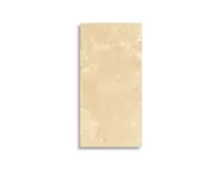 vloertegel Sintesi Pantheon Beige 30 x 60,4 | 041-957 | Jan Groen Tegels