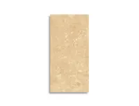vloertegel Sintesi Pantheon Beige 30 x 60,4 | 041-957 | Jan Groen Tegels
