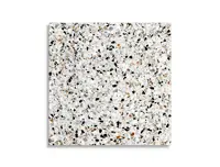 vloertegel Multi 60 x 60 | 293-859 | Jan Groen Tegels