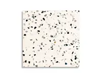 vloertegel Multi 60 x 60 | 966-230 | Jan Groen Tegels