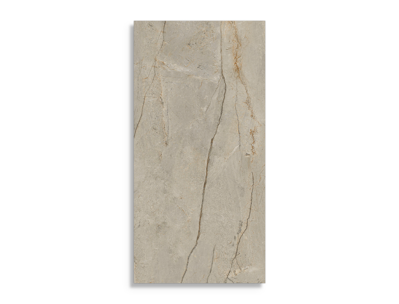 vloertegel Aleluia Silverline Grey Rect 60 x 120