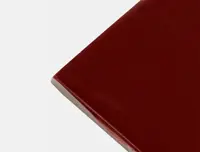 wandtegel Rood 10 x 10 | 006-281 | Jan Groen Tegels