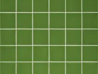 wandtegel Groen 10 x 10 | 090-864 | Jan Groen Tegels