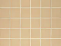 wandtegel Bruin 10 x 10 | 310-137 | Jan Groen Tegels