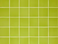 wandtegel Groen 13.9 x 13.9 | 515-951 | Jan Groen Tegels