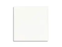 wandtegel Wit 13.9 x 13.9 | 252-168 | Jan Groen Tegels