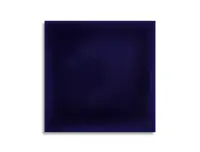 wandtegel Blauw 13.9 x 13.9 | 251-472 | Jan Groen Tegels