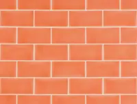 wandtegel Oranje 6.7 x 13.9 | 511-421 | Jan Groen Tegels