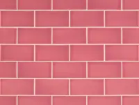 wandtegel Roze 6.7 x 13.9 | 533-282 | Jan Groen Tegels