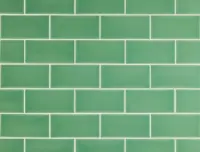 wandtegel Groen 6.7 x 13.9 | 835-550 | Jan Groen Tegels