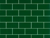 wandtegel Groen 6.7 x 13.9 | 779-478 | Jan Groen Tegels