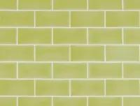 wandtegel Groen 6.7 x 13.9 | 328-750 | Jan Groen Tegels