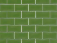 wandtegel Groen 6.7 x 13.9 | 165-902 | Jan Groen Tegels