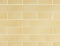 wandtegel Geel 6.7 x 13.9 | 682-991 | Jan Groen Tegels