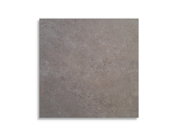 Tuintegel vtwonen Limestone Taupe 80 x 80 x 3 | 568-365 | Jan Groen Tegels