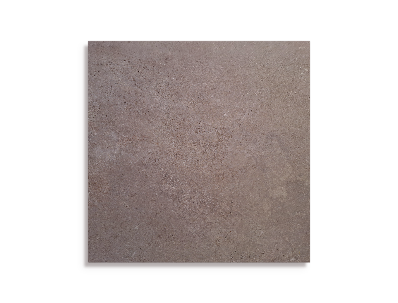 Tuintegel vtwonen Limestone Taupe 80 x 80 x 3