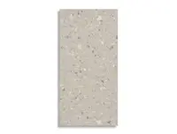 vloertegel STN Oikos Terrazo Naturel 59.5 x 120 | 278-303 | Jan Groen Tegels