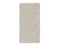 vloertegel STN Oikos Terrazo Naturel 59.5 x 120 | 278-303 | Jan Groen Tegels