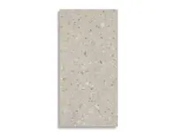 vloertegel STN Oikos Terrazo Naturel 59.5 x 120 | 278-303 | Jan Groen Tegels