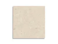 vloertegel Argenta Flodsten Artic 60 x 60 | 444-597 | Jan Groen Tegels