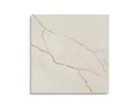vloertegel Argenta Raffaello Cream 60 x 60 | 996-659 | Jan Groen Tegels