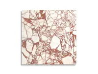 vloertegel Rood 119.4 x 119.4 | 052-592 | Jan Groen Tegels