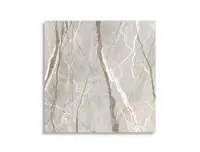 vloertegel Multi 119.4 x 119.4 | 211-317 | Jan Groen Tegels