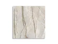 vloertegel Multi 119.4 x 119.4 | 211-317 | Jan Groen Tegels