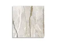 vloertegel Multi 119.4 x 119.4 | 211-317 | Jan Groen Tegels