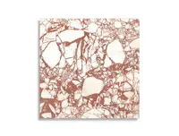 vloertegel Rood 119.4 x 119.4 | 885-744 | Jan Groen Tegels