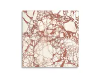 vloertegel Rood 119.4 x 119.4 | 885-744 | Jan Groen Tegels