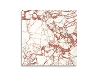 vloertegel Rood 119.4 x 119.4 | 885-744 | Jan Groen Tegels