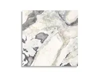 vloertegel Multi 119.4 x 119.4 | 484-262 | Jan Groen Tegels