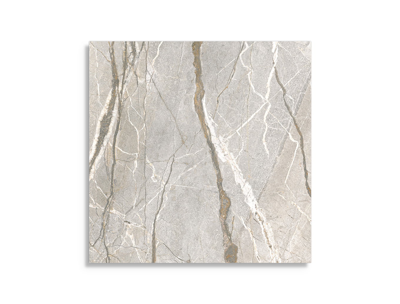 vloertegel Multi 119.4 x 119.4