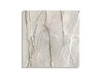 vloertegel Multi 119.4 x 119.4 | 138-159 | Jan Groen Tegels