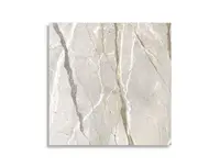 vloertegel Multi 119.4 x 119.4 | 138-159 | Jan Groen Tegels