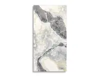 vloertegel Multi 59.6 x 119.4 | 065-962 | Jan Groen Tegels