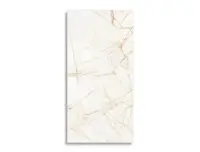 vloertegel Goud 59.6 x 119.4 | 880-426 | Jan Groen Tegels