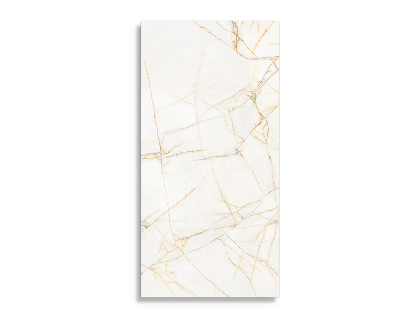 vloertegel Goud 59.6 x 119.4