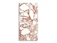 vloertegel Rood 59.6 x 119.4 | 610-460 | Jan Groen Tegels