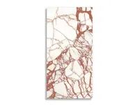 vloertegel Rood 59.6 x 119.4 | 610-460 | Jan Groen Tegels