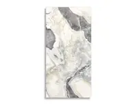 vloertegel Multi 59.6 x 119.4 | 594-990 | Jan Groen Tegels