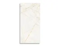 vloertegel Goud 59.6 x 119.4 | 979-307 | Jan Groen Tegels