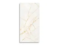 vloertegel Goud 59.6 x 119.4 | 979-307 | Jan Groen Tegels