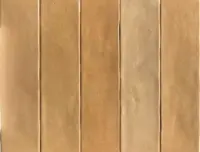 wandtegel Beige 6.2 x 25 | 298-240 | Jan Groen Tegels